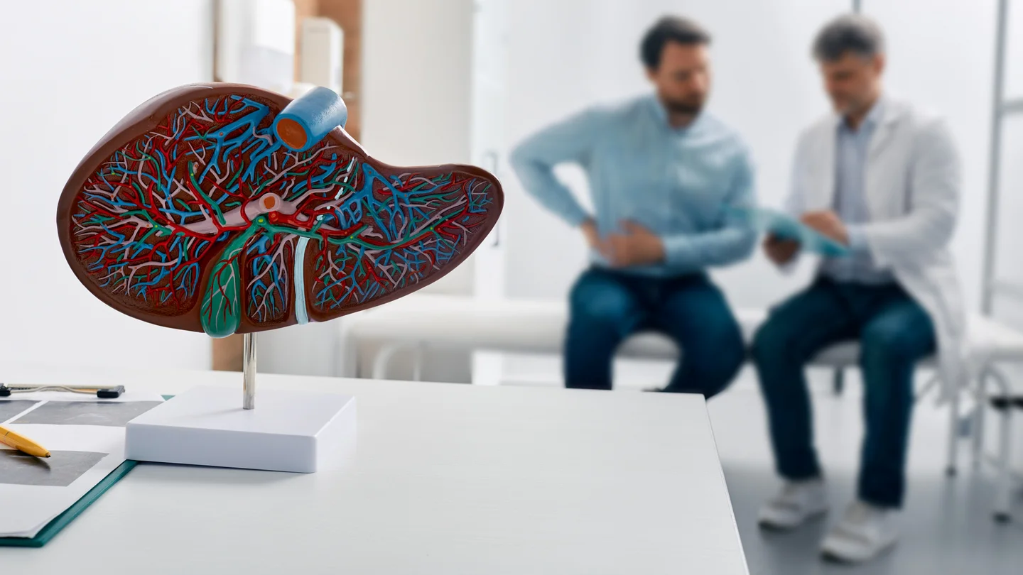 Hepatitis C: Im Vordergrund steht ein Modell der Leber auf einem Tisch. Im Hintergrund sitzen ein Arzt und ein Patient. Der Patient h&auml;lt sich den rechten Oberbauch in der Lebergegend.