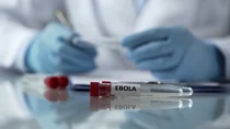 Auf einem Glastisch liegende Probenfl&auml;schchen mit roter Kappe und der Aufschrift Ebola.
